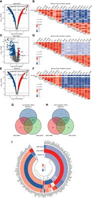 Identification of hub genes for early detection of bone metastasis in breast cancer